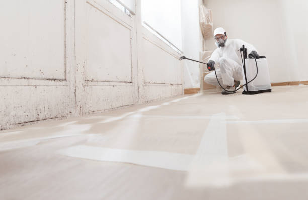 24/7 Emergency Bathroom Mold Removal experts in Roanoke, IL